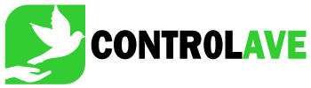 Logo Controlave