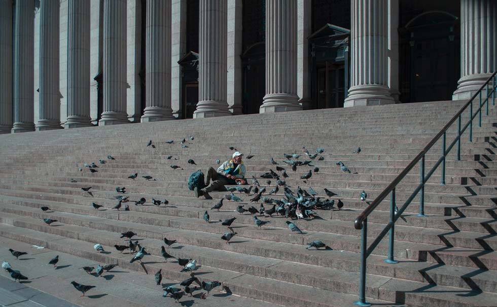 Hombre rodeado de palomas