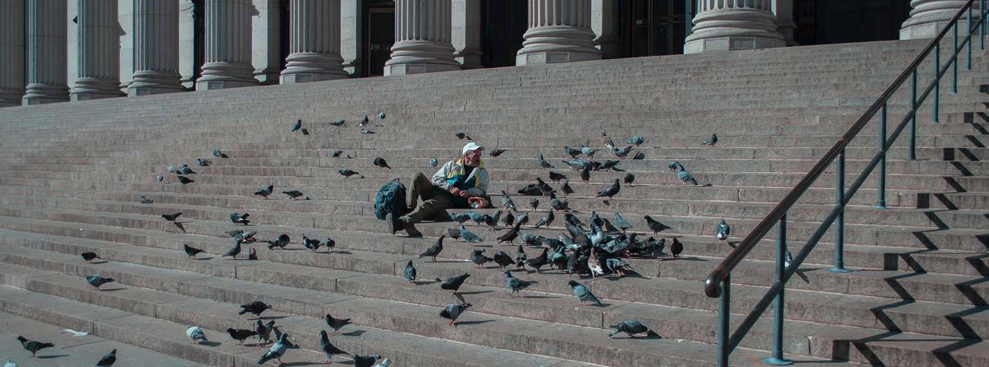 Hombre rodeado de palomas