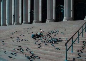 Hombre sentado con palomas